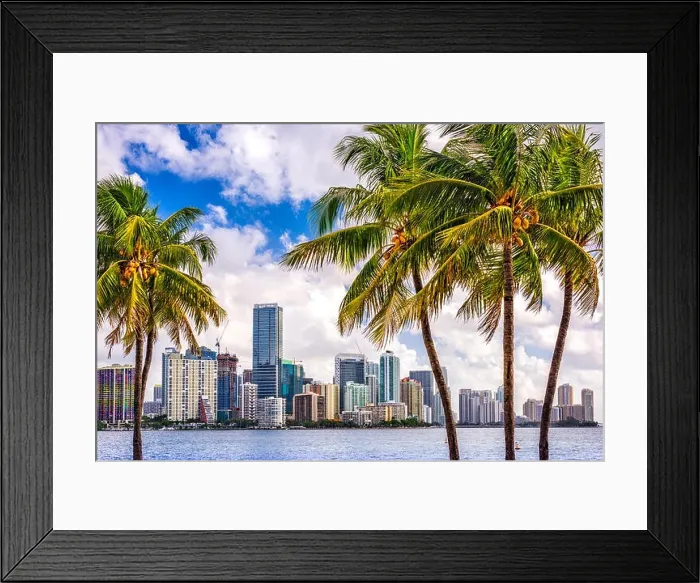 Framed Print : Miami, Florida, USA tropical downtown skyline Framed Print : Miami, Florida, USA tropical downtown skyline