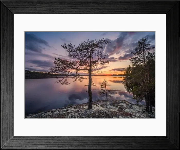 Framed Print : Scenic sunset landscape with peaceful lake and tree at summer evening in Finland Framed Print : Scenic sunset landscape with peaceful lake and tree at summer evening in Finland