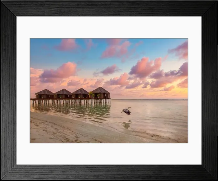 Framed Print : Stunning colorful sunset sky with clouds seaside horizon. Over water villas in Maldives with wildlife at sunrise. Dream travel landscape, fantastic