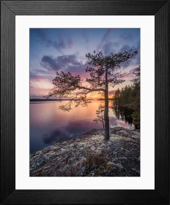 Framed Print : Scenic sunset landscape with peaceful lake and tree at summer evening in Finland Framed Print : Scenic sunset landscape with peaceful lake and tree at summer evening in Finland
