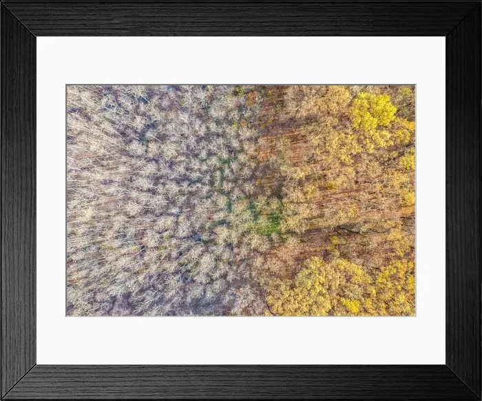 Framed Print : Dry autumn landscape, aerial view of field and forest, artistic landscape. Aerial view from above of the field in autumn. Field texture in autumn
