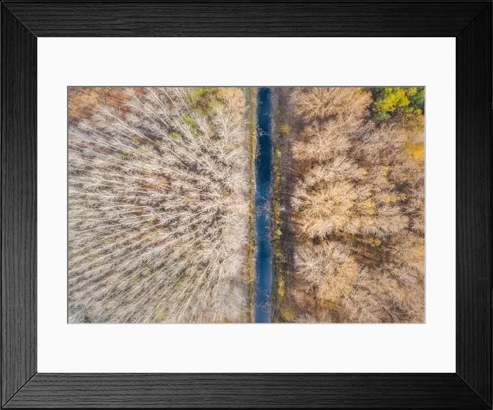 Framed Print : Dry autumn landscape, aerial view of field and forest, artistic landscape. Aerial view from above of the field in autumn. Field texture in autumn Framed Print : Dry autumn landscape, aerial view of field and forest, artistic landscape. Aerial view from above of the field in autumn. Field texture in autumn