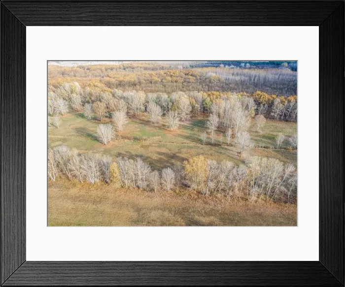 Framed Print : Dry autumn landscape, aerial view of field and forest, artistic landscape. Aerial view from above of the field in autumn. Field texture in autumn Framed Print : Dry autumn landscape, aerial view of field and forest, artistic landscape. Aerial view from above of the field in autumn. Field texture in autumn