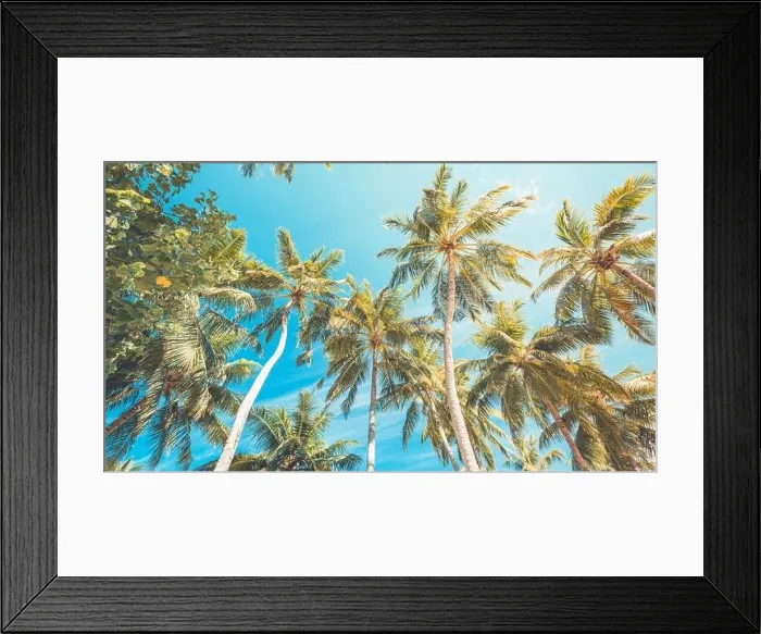 Framed Print : Coconut palm tree with blue sky, beautiful tropical background. Tropical trees background concept. Exotic tropical nature background Framed Print : Coconut palm tree with blue sky, beautiful tropical background. Tropical trees background concept. Exotic tropical nature background