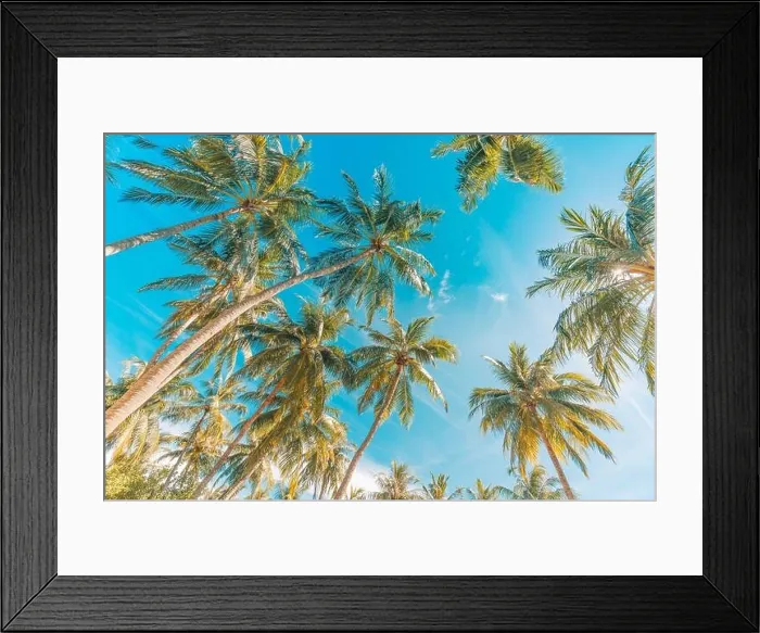 Framed Print : Coconut palm tree with blue sky, beautiful tropical background. Tropical trees background concept. Exotic tropical nature background Framed Print : Coconut palm tree with blue sky, beautiful tropical background. Tropical trees background concept. Exotic tropical nature background