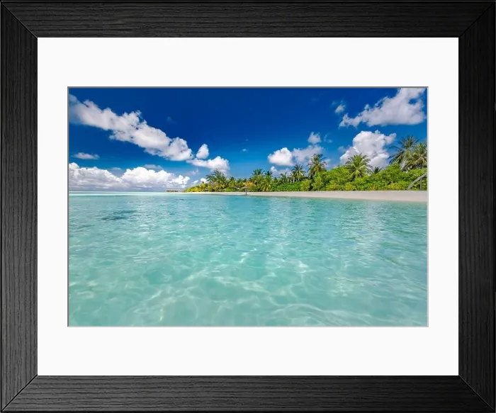 Framed Print : Beautiful palm tree on tropical island beach on background blue sky with white clouds and turquoise ocean on sunny day. Perfect natural landscape Framed Print : Beautiful palm tree on tropical island beach on background blue sky with white clouds and turquoise ocean on sunny day. Perfect natural landscape