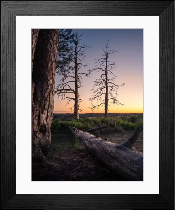 Framed Print : Scenic landscape with fallen tree trunk at peaceful evening Framed Print : Scenic landscape with fallen tree trunk at peaceful evening