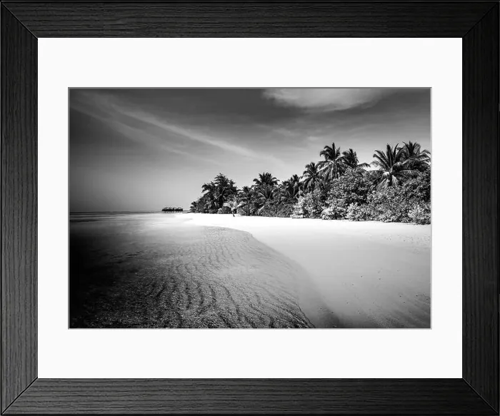 Framed Print : Black and white abstract landscape of tropical beach. Paradise island, with calm sea sand and palm trees, artistic dramatic black and white monochrome Framed Print : Black and white abstract landscape of tropical beach. Paradise island, with calm sea sand and palm trees, artistic dramatic black and white monochrome