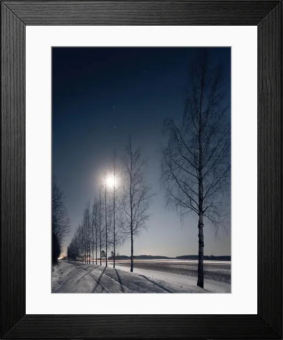 Framed Print : Landscape with moonlight and trees shadows at winter time Framed Print : Landscape with moonlight and trees shadows at winter time
