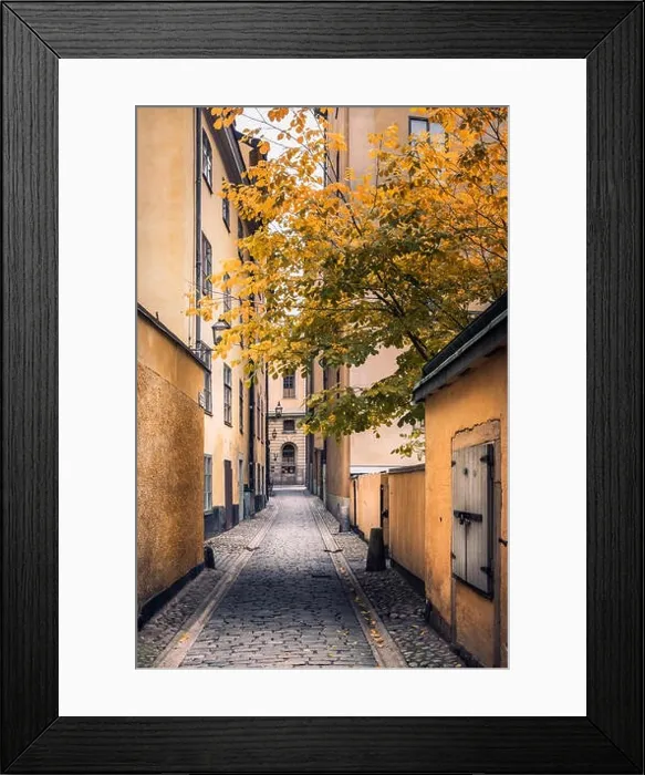 Framed Print : STOCKHOLM, SWEDEN - October 14, 2016: View from narrow and idyllic street with colorful buildings in Gamla Stan. The Old Town in Stockholm, Sweden. Cl Framed Print : STOCKHOLM, SWEDEN - October 14, 2016: View from narrow and idyllic street with colorful buildings in Gamla Stan. The Old Town in Stockholm, Sweden. Cl