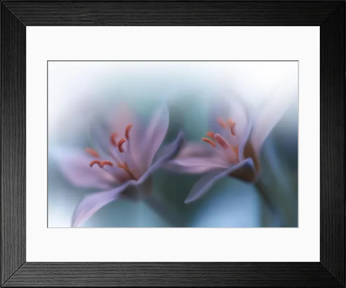 Framed Print : Beautiful Green Nature Background.Colorful Artistic Wallpaper.Natural Abstract Macro Photography.Creative Floral Art Design.Love, romance, romantic.Pure Framed Print : Beautiful Green Nature Background.Colorful Artistic Wallpaper.Natural Abstract Macro Photography.Creative Floral Art Design.Love, romance, romantic.Pure