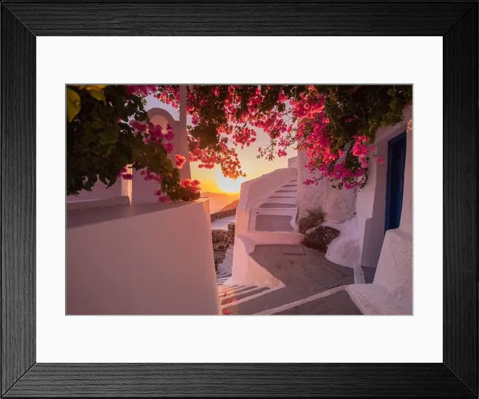 Framed Print : Summer sunset vacation scenic of luxury famous Europe destination. White architecture in Santorini, Greece. Stunning travel scenery with pink flowers Framed Print : Summer sunset vacation scenic of luxury famous Europe destination. White architecture in Santorini, Greece. Stunning travel scenery with pink flowers