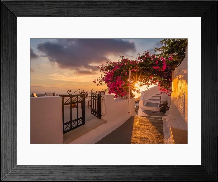 Framed Print : Summer sunset vacation scenic of luxury famous Europe destination. White architecture in Santorini, Greece. Stunning travel scenery with pink flowers Framed Print : Summer sunset vacation scenic of luxury famous Europe destination. White architecture in Santorini, Greece. Stunning travel scenery with pink flowers