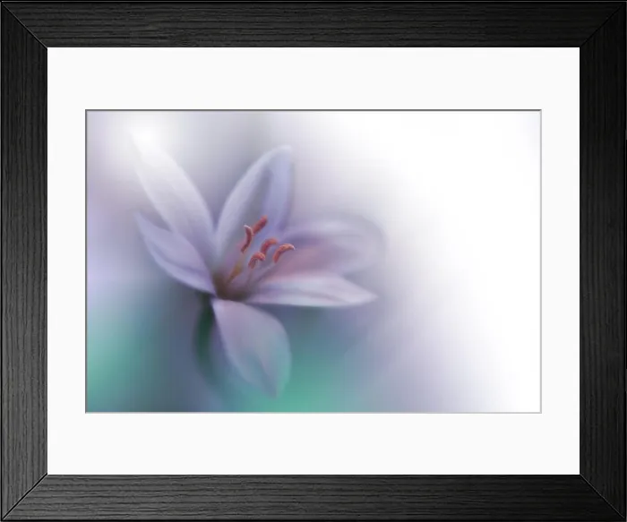 Framed Print : Beautiful Green Nature Background.Colorful Artistic Wallpaper.Natural Abstract Macro Photography.Creative Floral Art Design.Love, romance, romantic.Pure Framed Print : Beautiful Green Nature Background.Colorful Artistic Wallpaper.Natural Abstract Macro Photography.Creative Floral Art Design.Love, romance, romantic.Pure