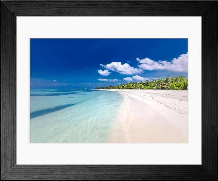 Framed Print : Beautiful beach with palm trees on tropical island beach on background blue sky with white clouds and turquoise ocean on sunny day. Exotic beach scene Framed Print : Beautiful beach with palm trees on tropical island beach on background blue sky with white clouds and turquoise ocean on sunny day. Exotic beach scene