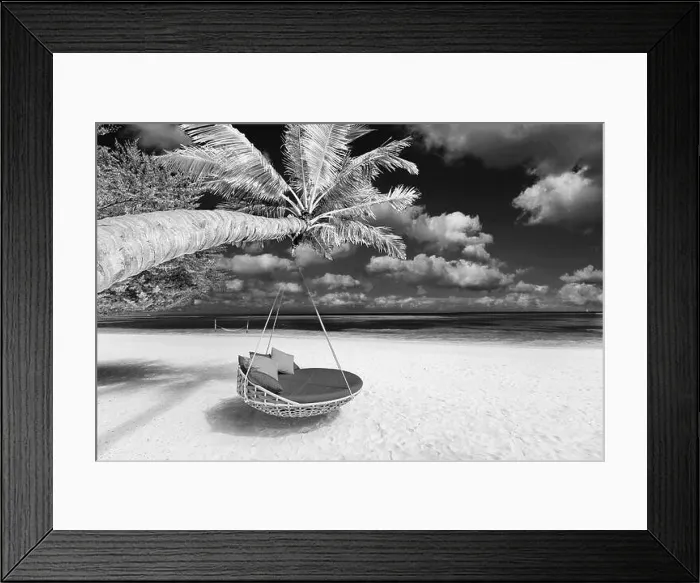 Framed Print : Black and white tropical beach panorama as summer landscape with beach swing or hammock and white sand and dark sea for beach banner. Luxury beach Framed Print : Black and white tropical beach panorama as summer landscape with beach swing or hammock and white sand and dark sea for beach banner. Luxury beach