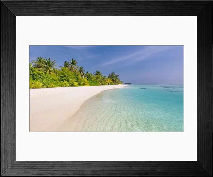 Framed Print : Beautiful beach with palm trees on tropical island beach on background blue sky with white clouds and turquoise ocean on sunny day. Exotic beach scene Framed Print : Beautiful beach with palm trees on tropical island beach on background blue sky with white clouds and turquoise ocean on sunny day. Exotic beach scene