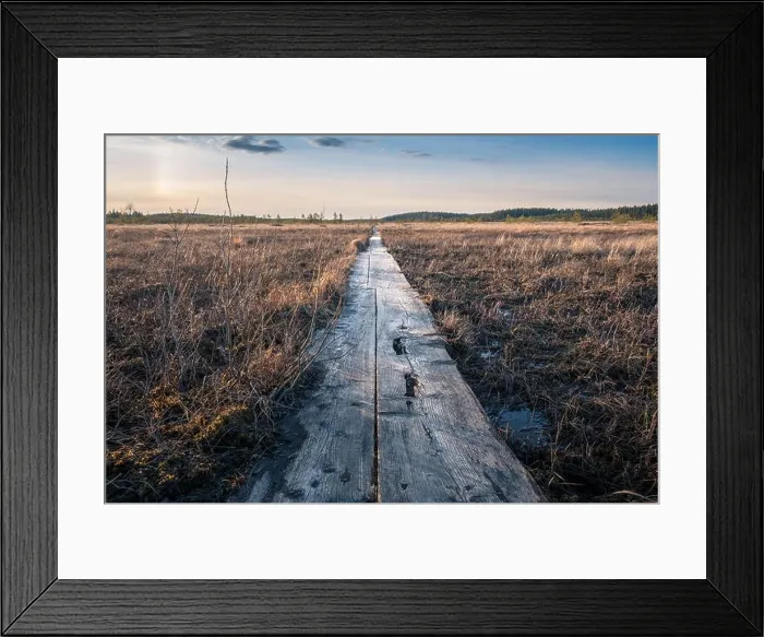 Framed Print : Landscape with sunset at evening in swamp Finland