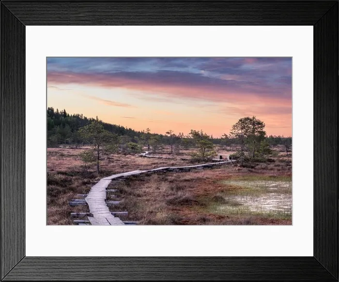 Framed Print : Scenic landscape at summer night in the swamp, National Park, Torronsuo, Finland Framed Print : Scenic landscape at summer night in the swamp, National Park, Torronsuo, Finland