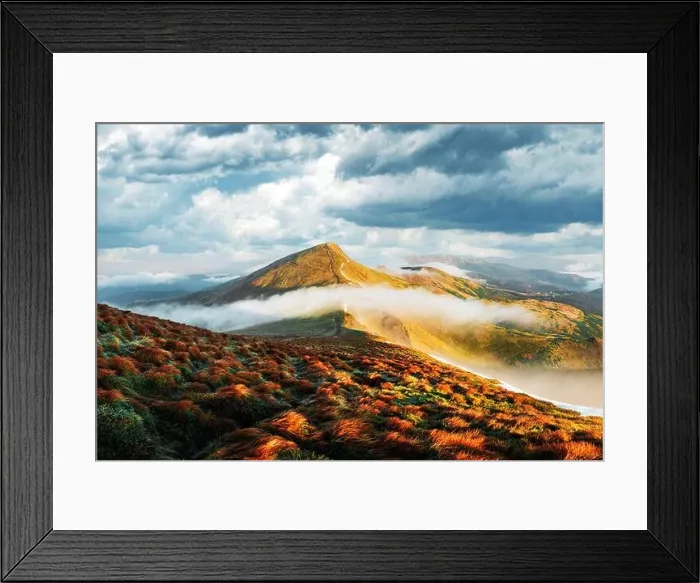 Framed Print : Orange grass trembling in the wind in autumn mountains at sunrise. A soft mist flows through the mountain peaks. Carpathian mountains, Ukraine