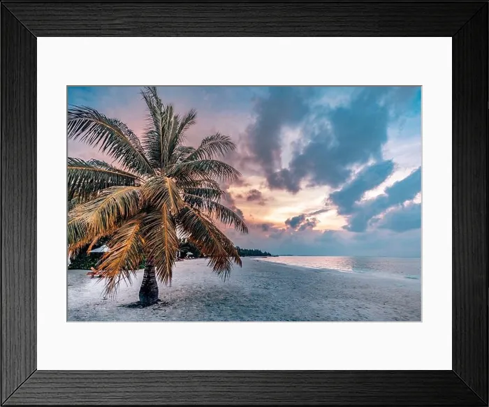 Framed Print : Palm tree silhouette on a background of tropical sunset. Sea sand sky concept, sunset colors clouds, horizon, horizontal beach sunset, summer vacation Framed Print : Palm tree silhouette on a background of tropical sunset. Sea sand sky concept, sunset colors clouds, horizon, horizontal beach sunset, summer vacation