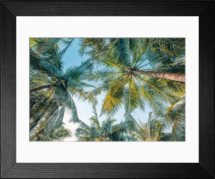 Framed Print : Palm trees under soft blue sky. Tropical jungle pattern, nature view from low point of view. Green nature, tropical foliage, exotic landscape Framed Print : Palm trees under soft blue sky. Tropical jungle pattern, nature view from low point of view. Green nature, tropical foliage, exotic landscape