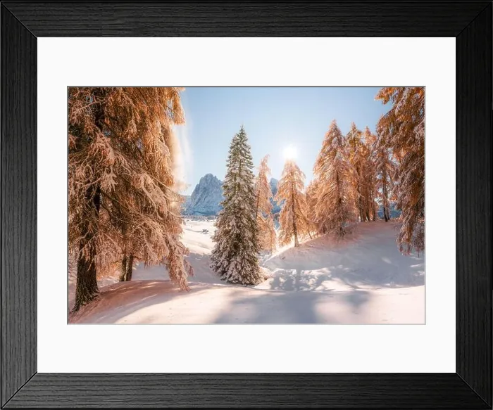 Framed Print : Picturesque landscape with orange larches covered by first snow on meadow Alpe di Siusi, Seiser Alm, Dolomites, Italy Framed Print : Picturesque landscape with orange larches covered by first snow on meadow Alpe di Siusi, Seiser Alm, Dolomites, Italy