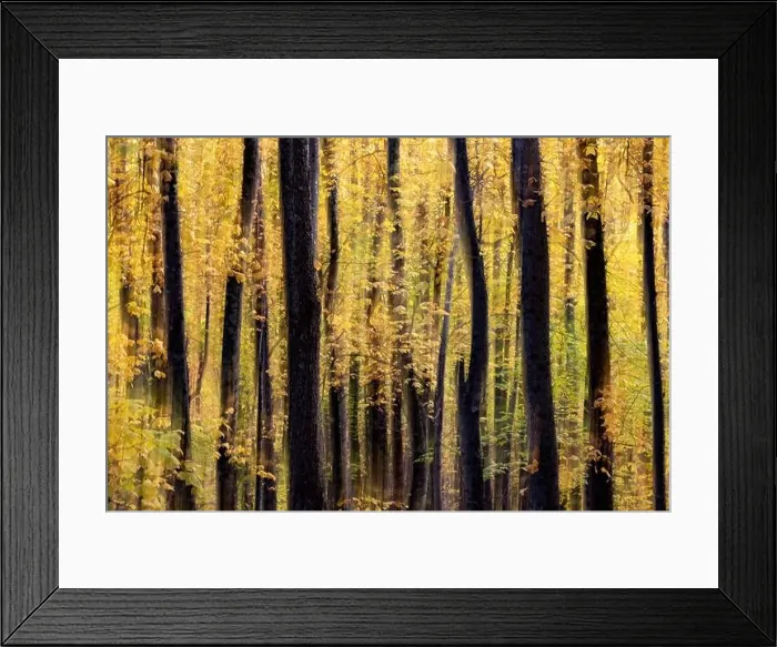 Framed Print : Painterly abstract motion blur of vibrant fall colors in Pisgah National Forest, Brevard, North Carolina, USA