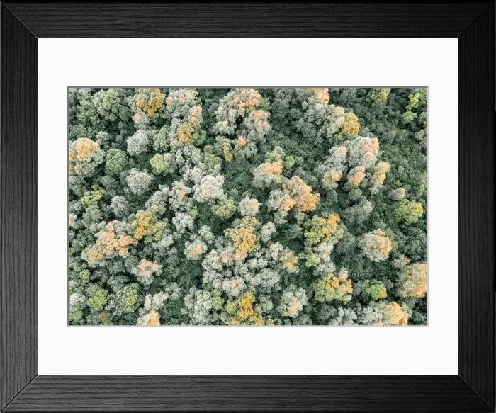 Framed Print : Aerial drone photo looking down on magical summer forest. Nature background. Landscape photography Framed Print : Aerial drone photo looking down on magical summer forest. Nature background. Landscape photography