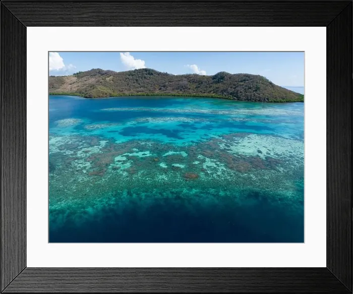 Framed Print : A healthy coral reef thrives off the Pulau Besar north of Flores, Indonesia. This exotic, tropical region is known for its high marine biodiversity Framed Print : A healthy coral reef thrives off the Pulau Besar north of Flores, Indonesia. This exotic, tropical region is known for its high marine biodiversity