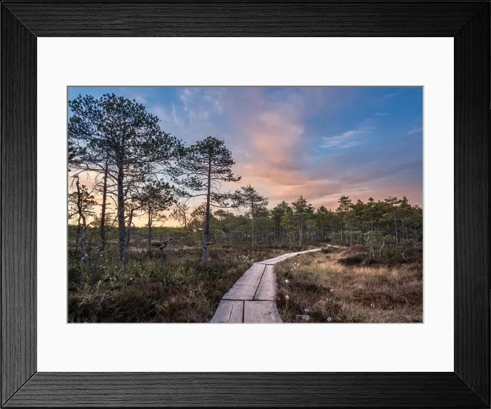 Framed Print : Scenic landscape at summer night in the swamp, National Park, Torronsuo, Finland Framed Print : Scenic landscape at summer night in the swamp, National Park, Torronsuo, Finland