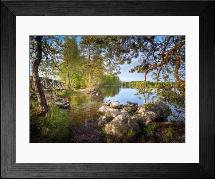 Framed Print : Landscape from national park at bright summer morning in Liesjärvi, Finland Framed Print : Landscape from national park at bright summer morning in Liesjärvi, Finland