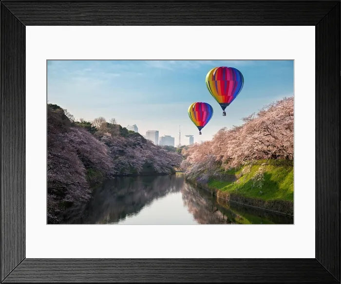 Framed Print : View of massive cherry blossoming in Tokyo, Japan as background. Photoed at Chidorigafuchi, Tokyo, Japan Framed Print : View of massive cherry blossoming in Tokyo, Japan as background. Photoed at Chidorigafuchi, Tokyo, Japan