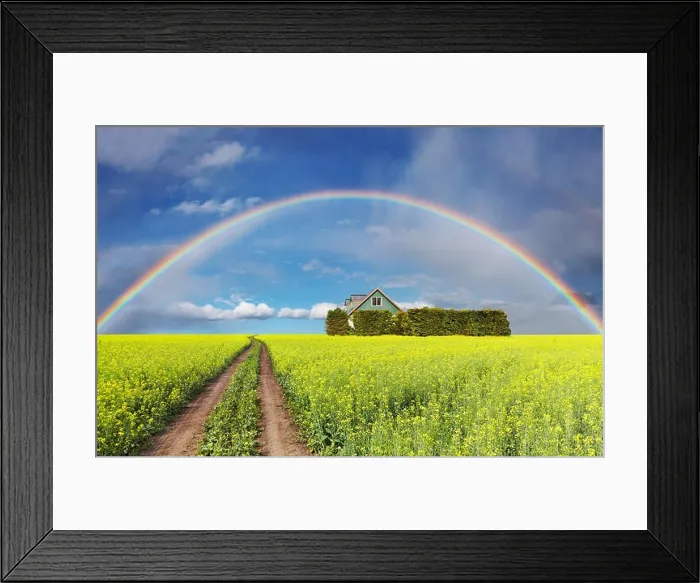 Framed Print : Rural landscape with rainbow over blooming field and house Framed Print : Rural landscape with rainbow over blooming field and house