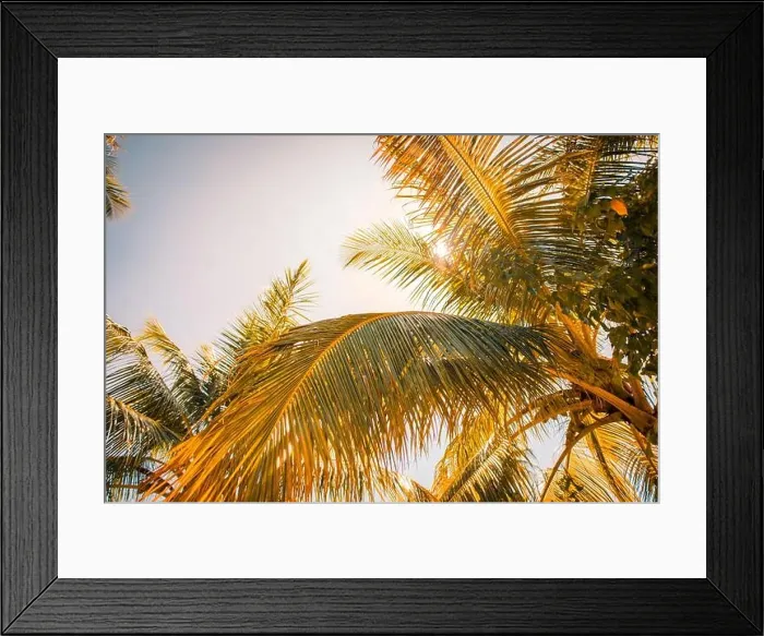 Framed Print : Silhouette tropical palm tree with sun light on sunset sky and cloud abstract background. Summer vacation and nature travel adventure concept Framed Print : Silhouette tropical palm tree with sun light on sunset sky and cloud abstract background. Summer vacation and nature travel adventure concept