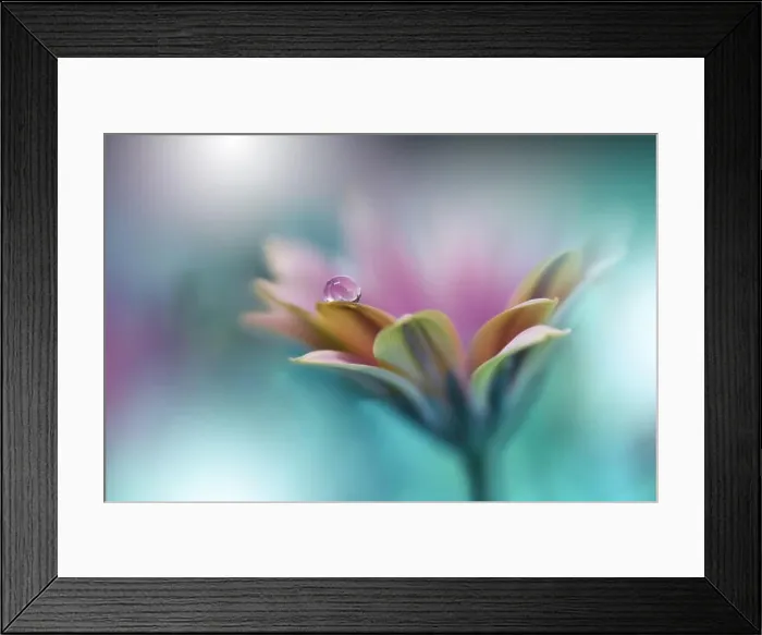 Framed Print : Beautiful Nature Background.Colorful Artistic Wallpaper.Natural Macro Photography.Beauty in Nature.Creative Floral Art.Blurred space for your text Framed Print : Beautiful Nature Background.Colorful Artistic Wallpaper.Natural Macro Photography.Beauty in Nature.Creative Floral Art.Blurred space for your text
