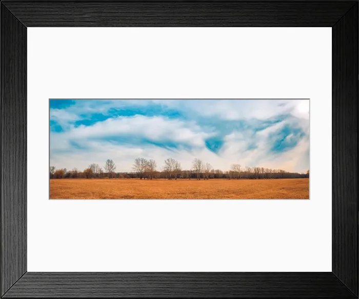 Framed Print : Autumn landscape and dramatic sky. Trees and meadow field under cloudy sky Framed Print : Autumn landscape and dramatic sky. Trees and meadow field under cloudy sky