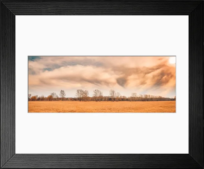 Framed Print : Autumn landscape and dramatic sky. Trees and meadow field under cloudy sky Framed Print : Autumn landscape and dramatic sky. Trees and meadow field under cloudy sky