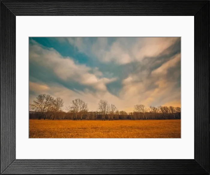 Framed Print : Autumn landscape and dramatic sky. Trees and meadow field under cloudy sky Framed Print : Autumn landscape and dramatic sky. Trees and meadow field under cloudy sky