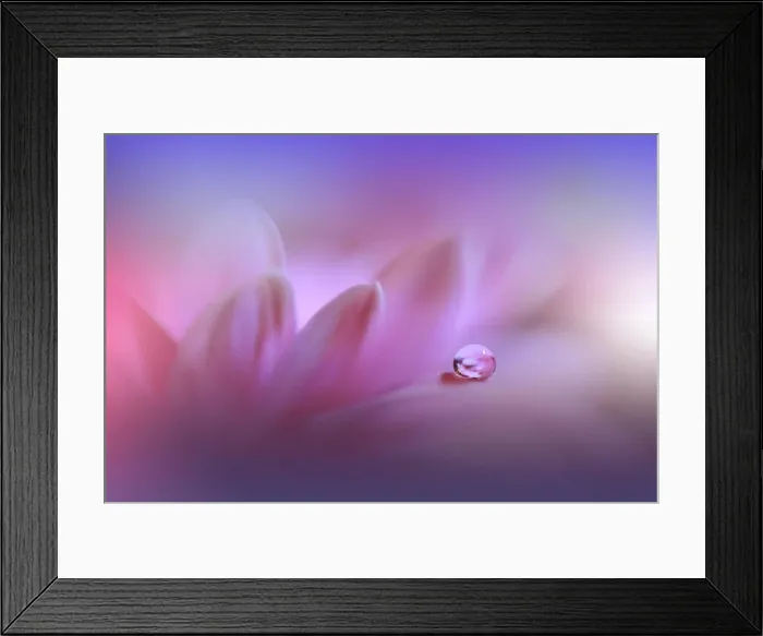 Framed Print : Beautiful Nature Background.Amazing Spring Flowers.Water drop.Extreme close up macro photography.Abstract Fantasy Art.Artistic Creative Wallpaper.Pure Framed Print : Beautiful Nature Background.Amazing Spring Flowers.Water drop.Extreme close up macro photography.Abstract Fantasy Art.Artistic Creative Wallpaper.Pure