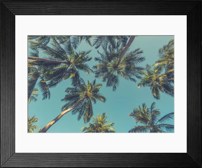 Framed Print : Amazing green palm trees with blue sky. Nature background