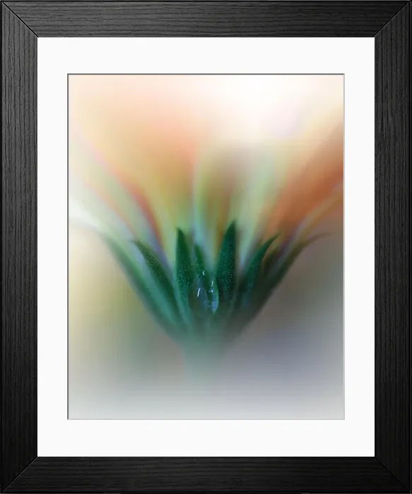 Framed Print : Beautiful Nature Macro Shot.Magic Flowers.Art Design.Extreme close up Photography.Conceptual Abstract Image.Orange and Yellow Color.Spring Background Framed Print : Beautiful Nature Macro Shot.Magic Flowers.Art Design.Extreme close up Photography.Conceptual Abstract Image.Orange and Yellow Color.Spring Background