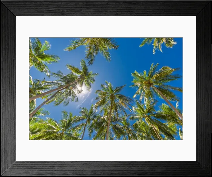Framed Print : Amazing green palm trees with blue sky. Nature background Framed Print : Amazing green palm trees with blue sky. Nature background