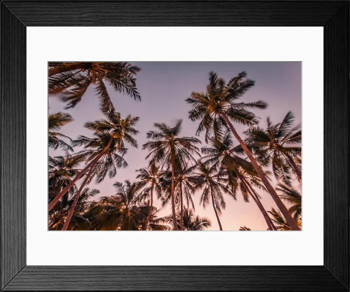 Framed Print : Amazing green palm trees with blue sky. Nature background Framed Print : Amazing green palm trees with blue sky. Nature background