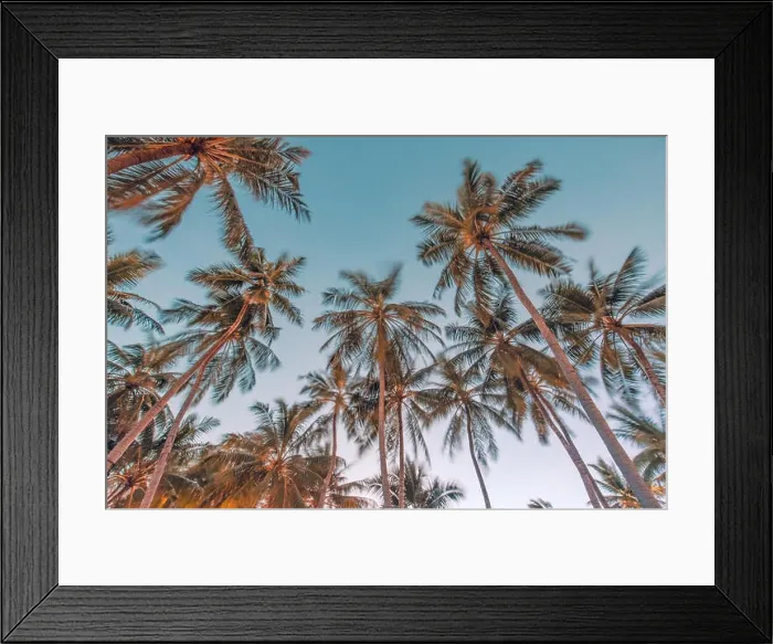 Framed Print : Amazing green palm trees with blue sky. Nature background Framed Print : Amazing green palm trees with blue sky. Nature background