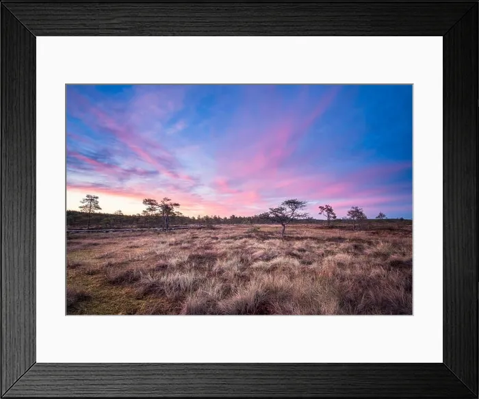 Framed Print : Scenic landscape at summer night in the swamp, National Park, Torronsuo, Finland Framed Print : Scenic landscape at summer night in the swamp, National Park, Torronsuo, Finland