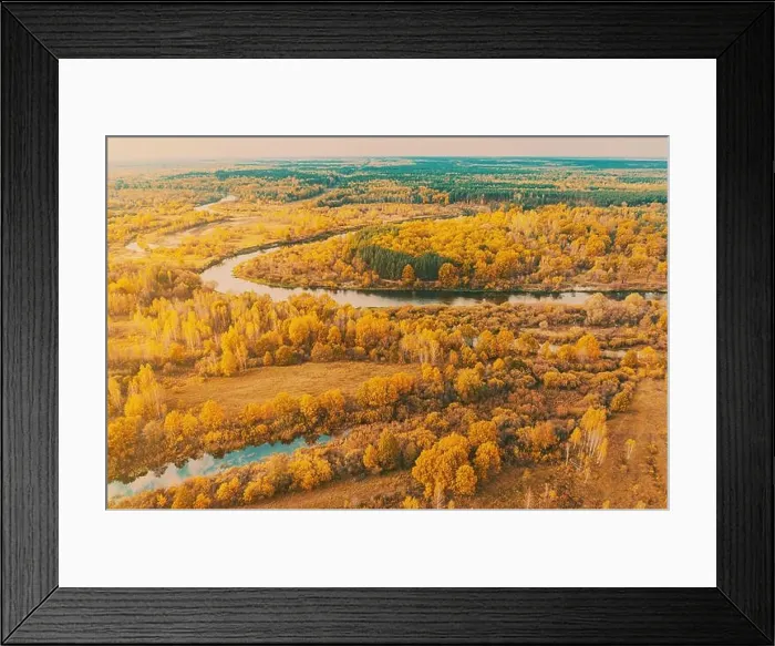 Framed Print : Aerial view yellow forest and river landscape in sunny autumn day. Top view of beautiful european nature from high attitude in autumn season. Drone Framed Print : Aerial view yellow forest and river landscape in sunny autumn day. Top view of beautiful european nature from high attitude in autumn season. Drone