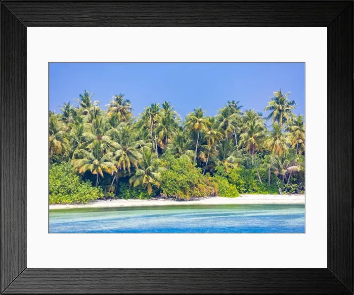 Framed Print : Beautiful tropical nature background, palm trees and blue sea with turquoise lagoon. Tranquil tropical nature scene Framed Print : Beautiful tropical nature background, palm trees and blue sea with turquoise lagoon. Tranquil tropical nature scene