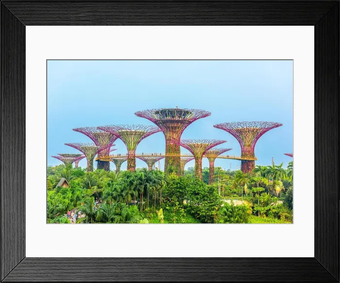 Framed Print : SINGAPORE - SEPTEMBER 5, 2015: Supertrees at Gardens by the Bay Framed Print : SINGAPORE - SEPTEMBER 5, 2015: Supertrees at Gardens by the Bay