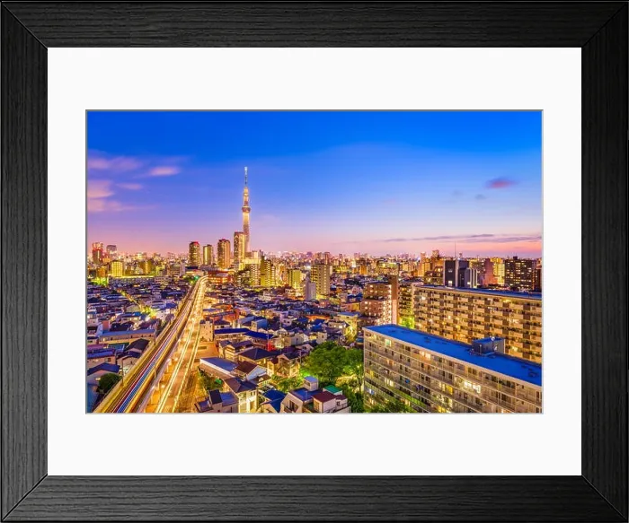 Framed Print : Tokyo, Japan Sumida skyline